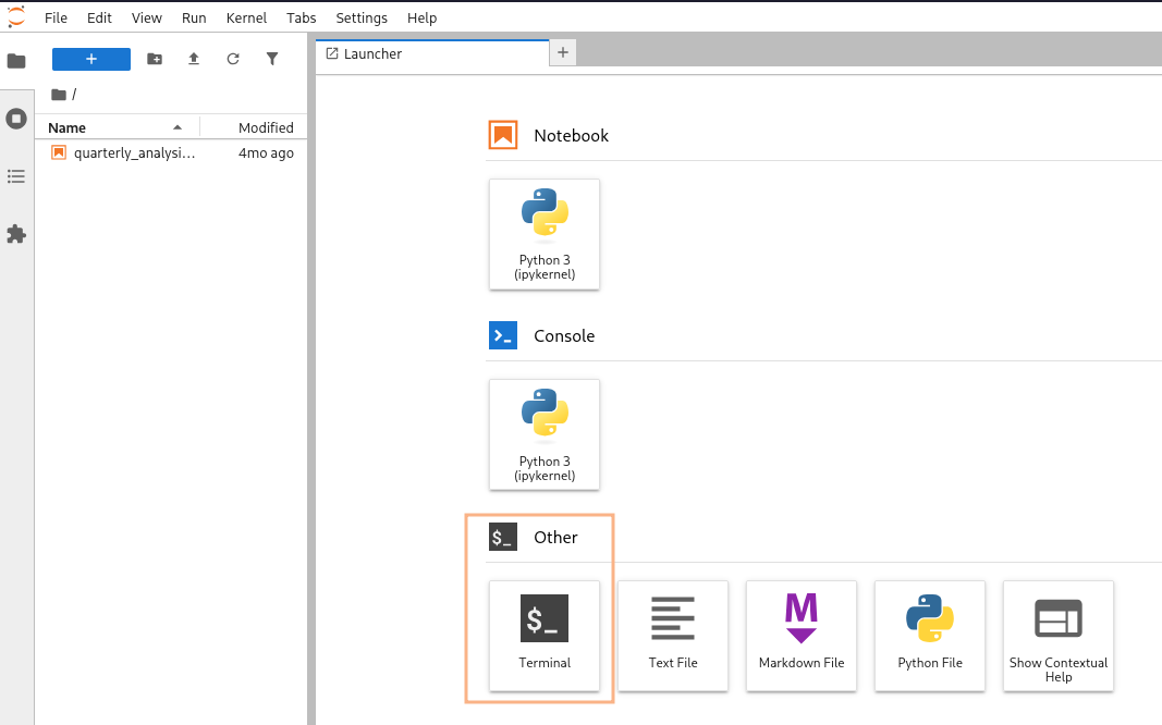 Jupyter notebook allowing to run terminal commands