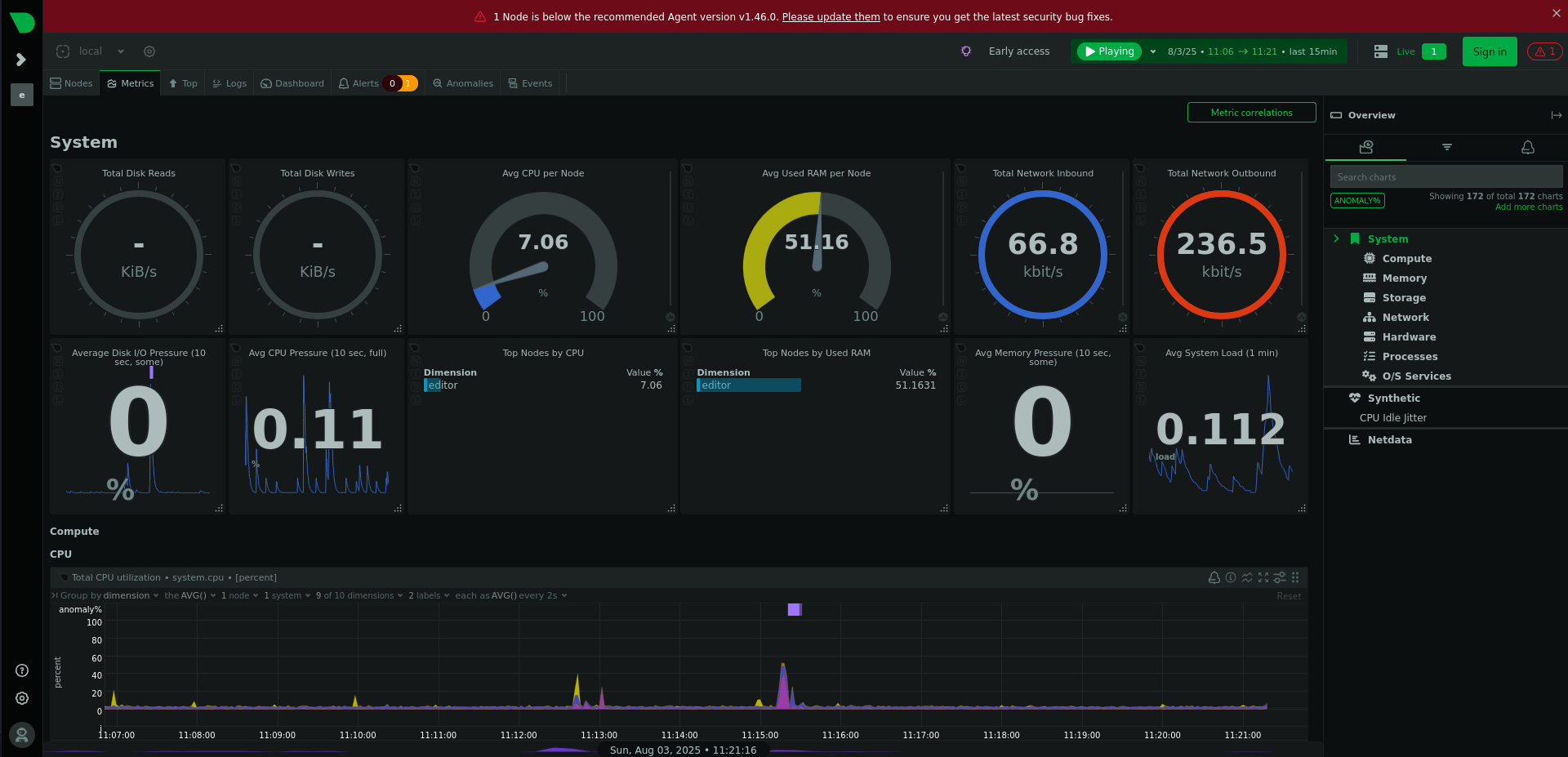 Netdata dashboard showing a warning due to an outdated version