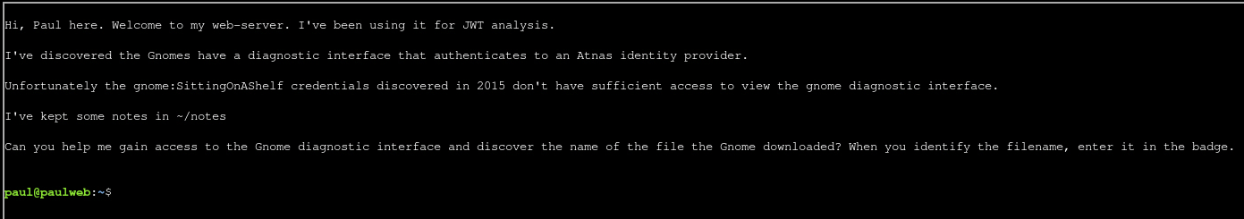 Challenge description in the terminal