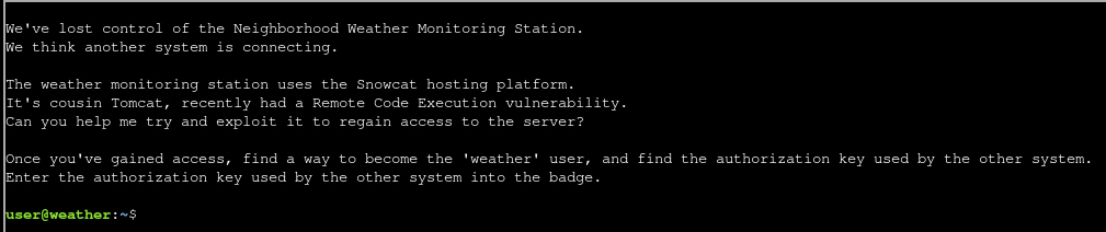 Challenge description in the terminal