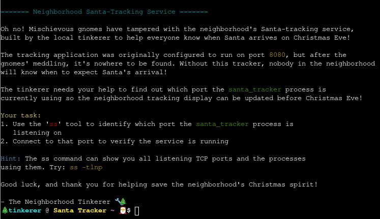 Terminal explaining the tasks for this objective