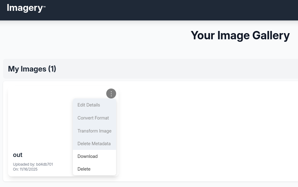 Dashboard showing a single uploaded file with all edit options grayed out